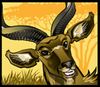 Antelope